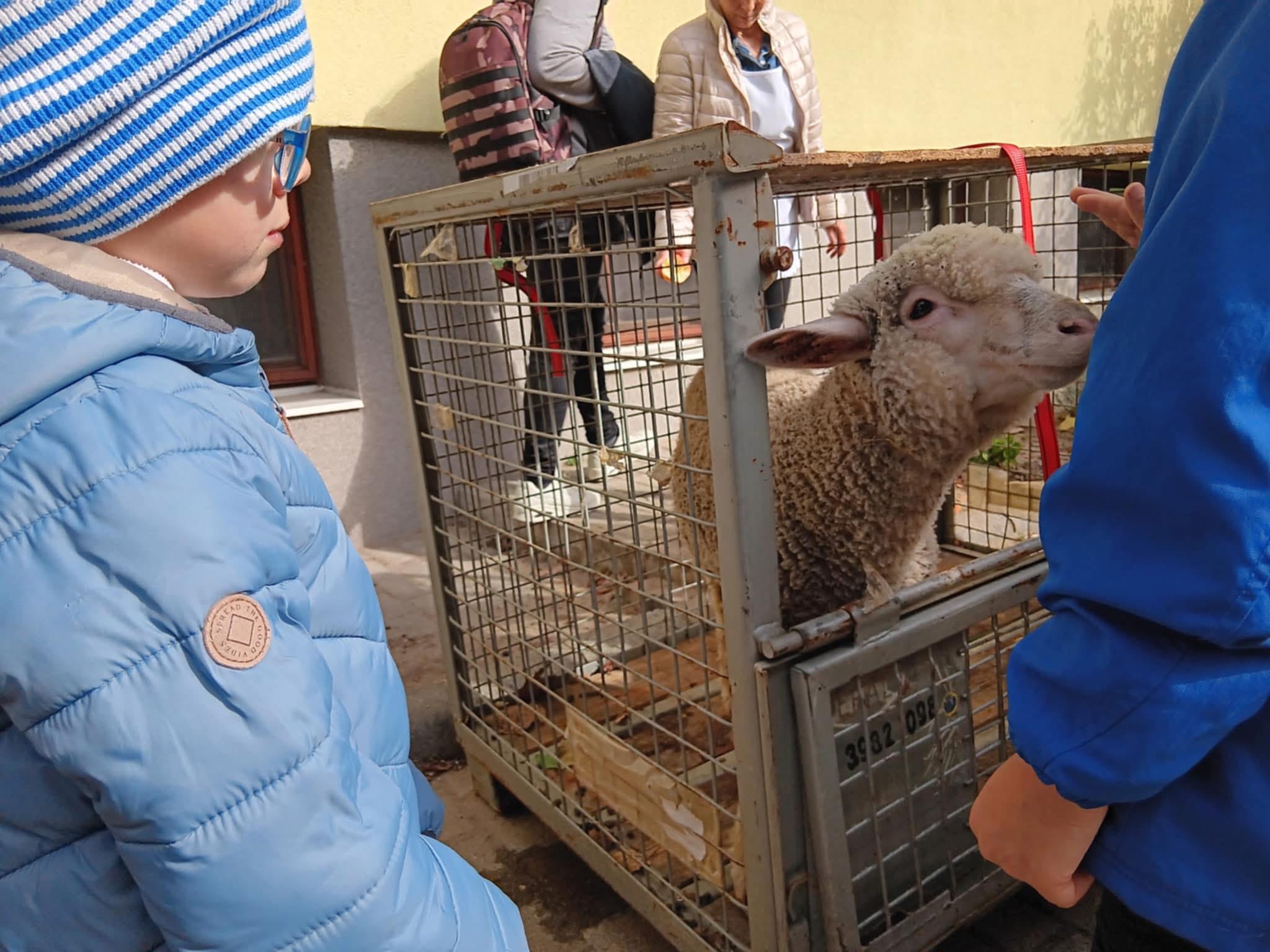 Állatbörze az óvodában 2025. 10. 09.